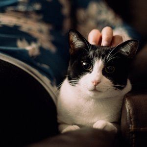 Meet your Posher, Fallon